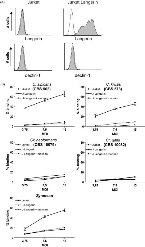 https://cdn.ncbi.nlm.nih.gov/pmc/blobs/e22f/2837148/809ecade21ae/gr4.jpg