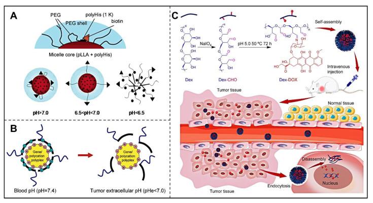 https://cdn.ncbi.nlm.nih.gov/pmc/blobs/e230/9694300/6750488ddc71/pharmaceutics-14-02346-g001.jpg