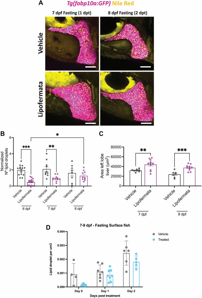 https://cdn.ncbi.nlm.nih.gov/pmc/blobs/e231/10927358/06673adb7079/LSA-2023-02458_FigS3.jpg