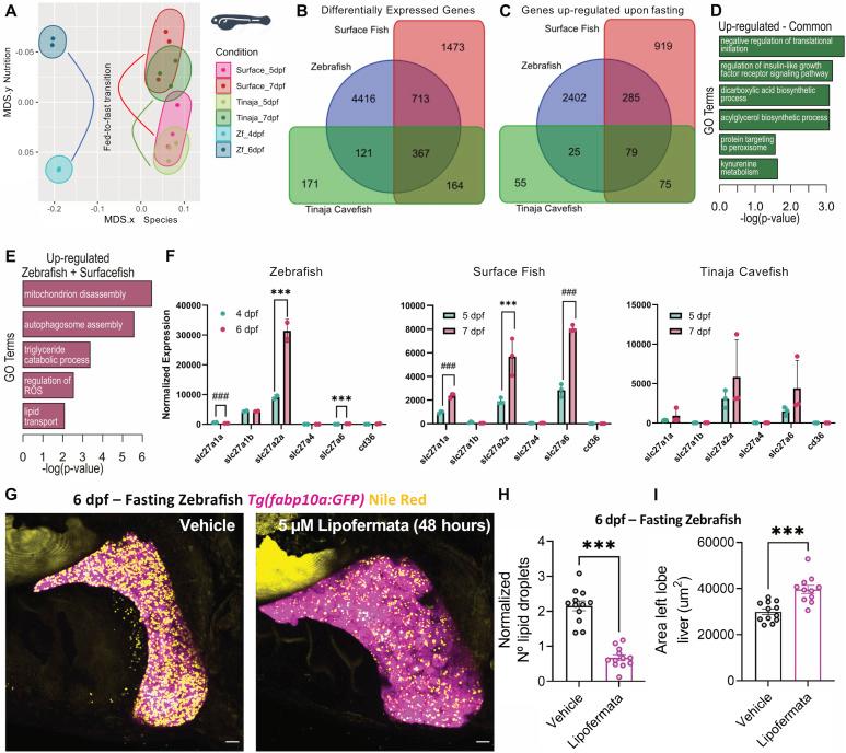https://cdn.ncbi.nlm.nih.gov/pmc/blobs/e231/10927358/0c657210eacc/LSA-2023-02458_Fig3.jpg