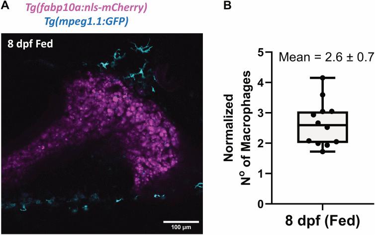 https://cdn.ncbi.nlm.nih.gov/pmc/blobs/e231/10927358/fa7bd4fe3716/LSA-2023-02458_FigS2.jpg