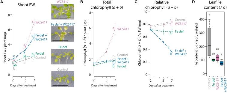 https://cdn.ncbi.nlm.nih.gov/pmc/blobs/e231/6639660/6c20559b7b66/fpls-10-00909-g002.jpg