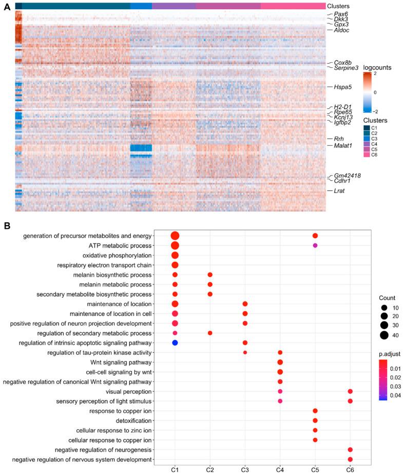 https://cdn.ncbi.nlm.nih.gov/pmc/blobs/e235/9499471/5e514cd579e1/ijms-23-10419-g003.jpg