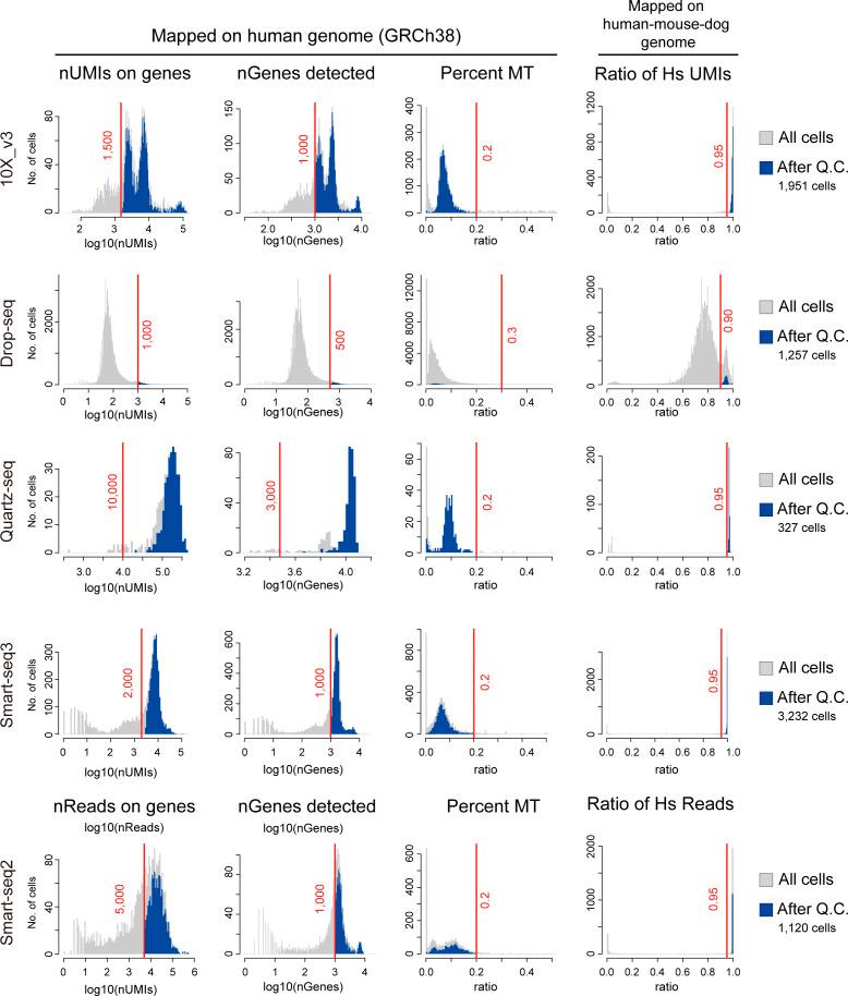 https://cdn.ncbi.nlm.nih.gov/pmc/blobs/e236/9363502/e6a0676aa7f0/LSA-2022-01591_FigS8.jpg