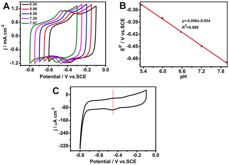 https://cdn.ncbi.nlm.nih.gov/pmc/blobs/e237/12024719/f583d0d4b815/biosensors-15-00246-g005.jpg