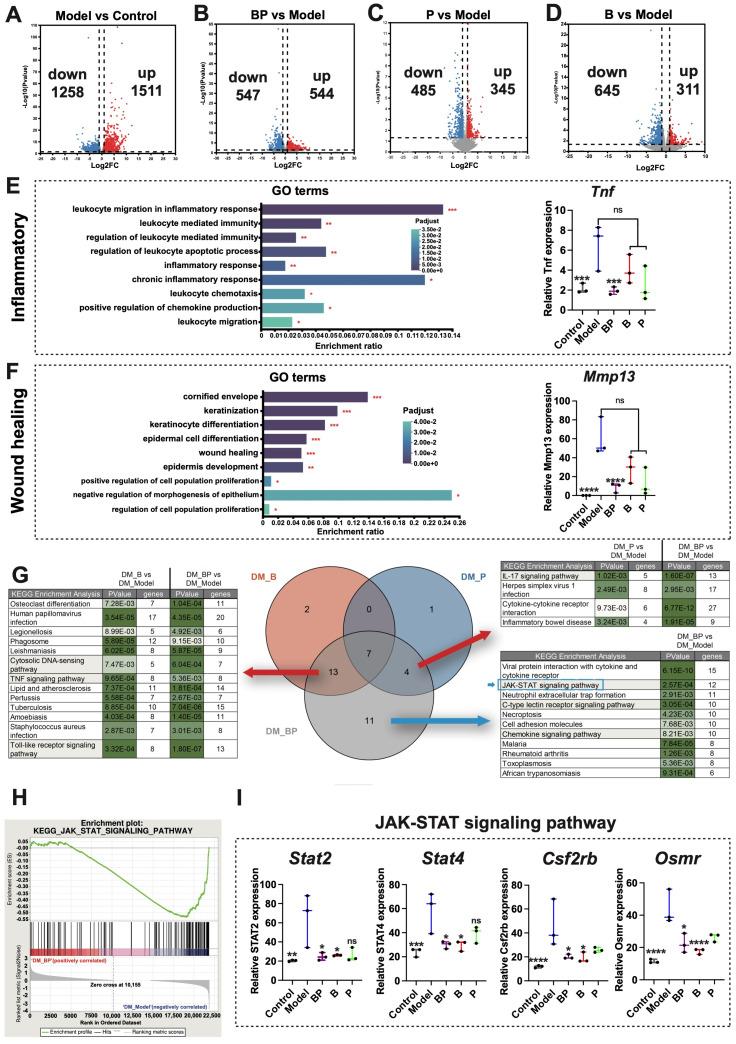 https://cdn.ncbi.nlm.nih.gov/pmc/blobs/e238/12024557/cb52a3124e43/bioengineering-12-00427-g005.jpg