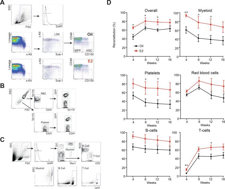 https://cdn.ncbi.nlm.nih.gov/pmc/blobs/e238/5829925/03b595dfa061/elife-31159-fig1-figsupp1.jpg
