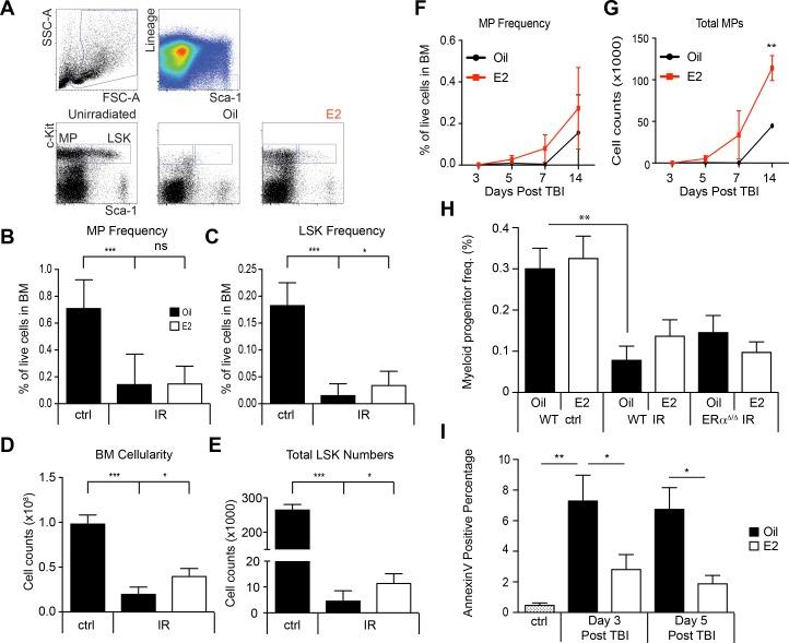 https://cdn.ncbi.nlm.nih.gov/pmc/blobs/e238/5829925/aedcdb20a573/elife-31159-fig3-figsupp1.jpg