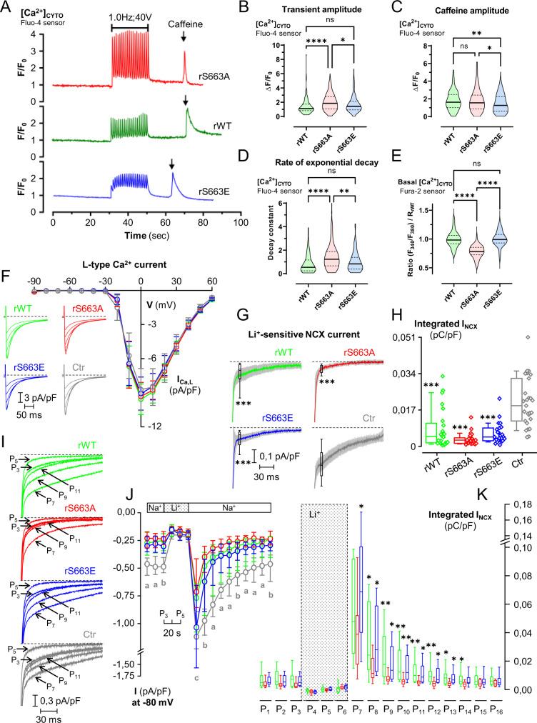 https://cdn.ncbi.nlm.nih.gov/pmc/blobs/e239/10250397/25f85998d823/41467_2023_39027_Fig4_HTML.jpg