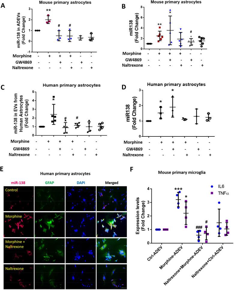 https://cdn.ncbi.nlm.nih.gov/pmc/blobs/e239/7710131/120a0f5e2e3d/JEV2-10-e12027-g002.jpg