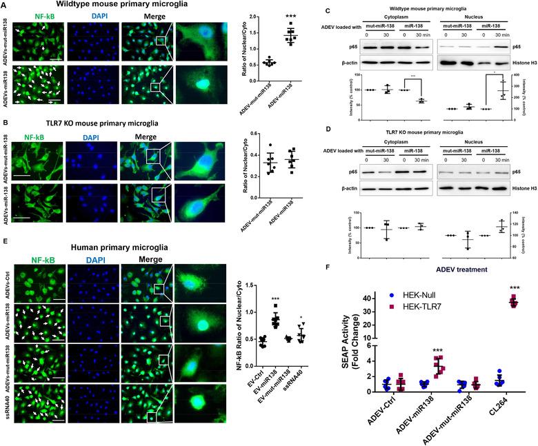 https://cdn.ncbi.nlm.nih.gov/pmc/blobs/e239/7710131/30dba36db290/JEV2-10-e12027-g004.jpg
