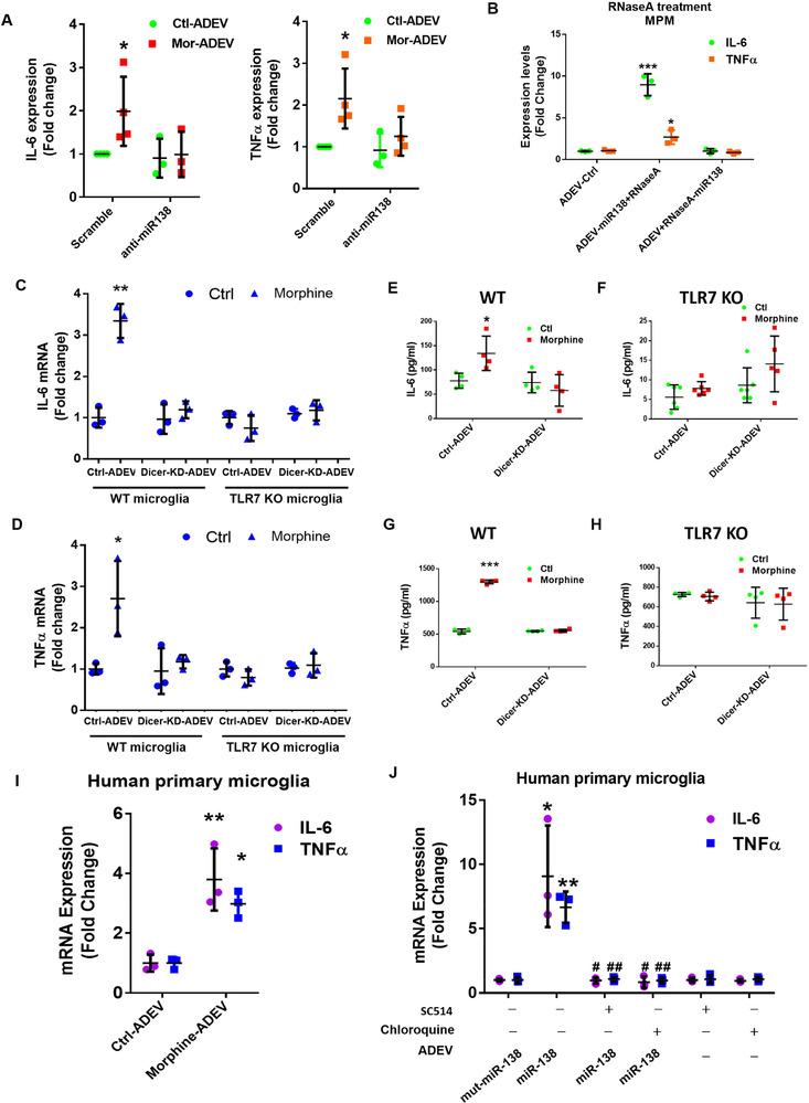 https://cdn.ncbi.nlm.nih.gov/pmc/blobs/e239/7710131/435a89b9f1c2/JEV2-10-e12027-g005.jpg