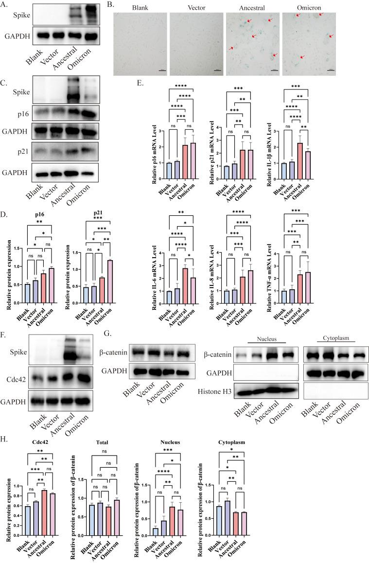 https://cdn.ncbi.nlm.nih.gov/pmc/blobs/e23a/11570593/60e540477819/fcimb-14-1449423-g003.jpg