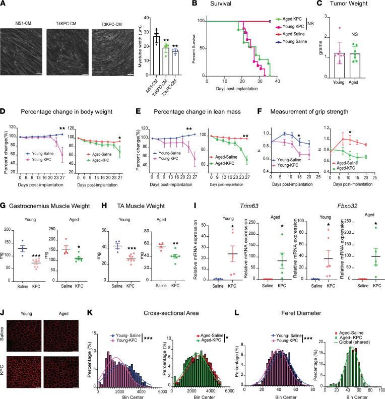 https://cdn.ncbi.nlm.nih.gov/pmc/blobs/e23b/8855816/bc25a19d6f03/jciinsight-7-153842-g115.jpg