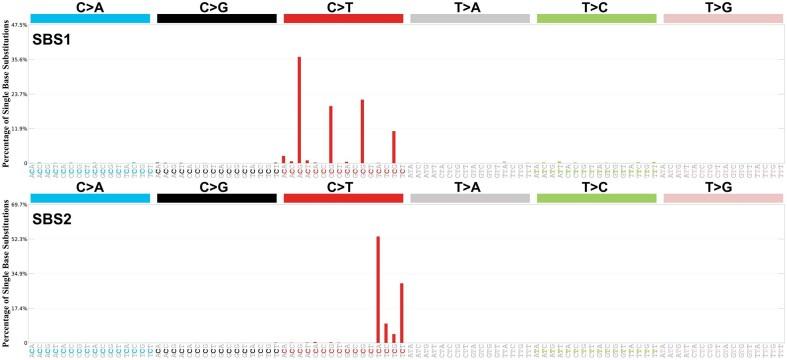 https://cdn.ncbi.nlm.nih.gov/pmc/blobs/e23c/11707540/2d32ff9d2d98/gkae1303fig3.jpg