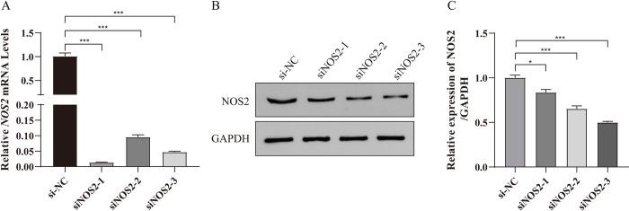 https://cdn.ncbi.nlm.nih.gov/pmc/blobs/e23d/11020939/109da53c2359/pone.0301660.g003.jpg