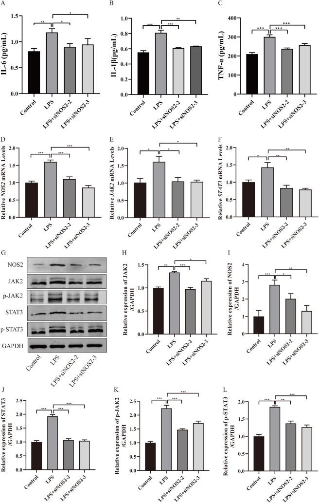 https://cdn.ncbi.nlm.nih.gov/pmc/blobs/e23d/11020939/269a1a22fcb1/pone.0301660.g005.jpg