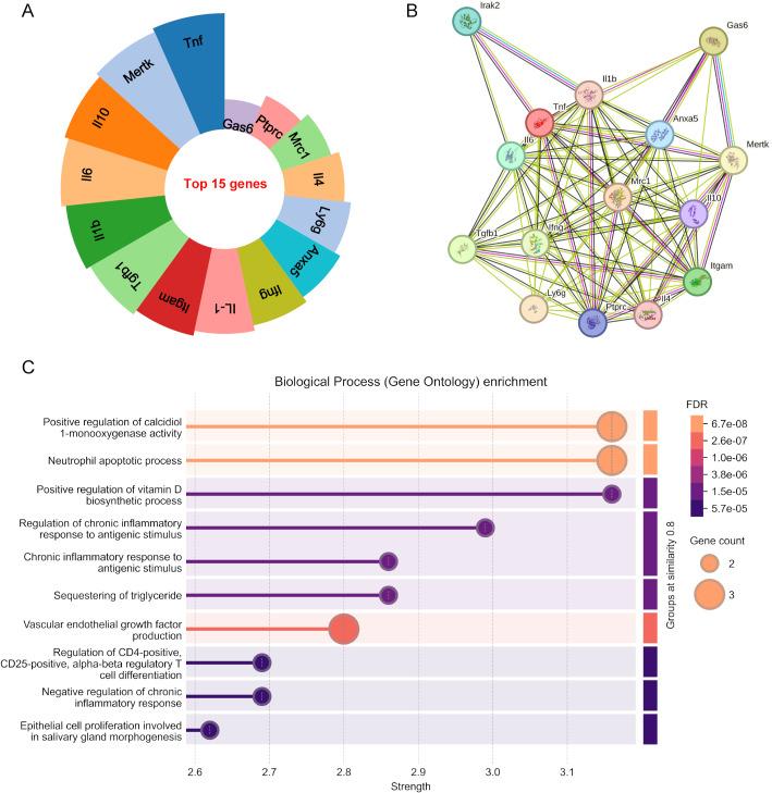 https://cdn.ncbi.nlm.nih.gov/pmc/blobs/e23d/12376401/fb968035a8ee/13040_2025_475_Fig10_HTML.jpg