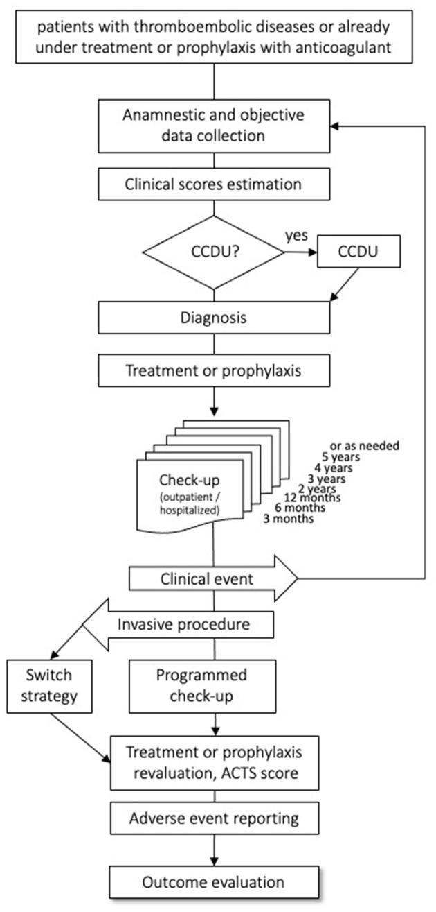 https://cdn.ncbi.nlm.nih.gov/pmc/blobs/e23e/7876063/a783938861cc/fmed-07-584459-g0001.jpg