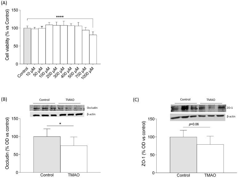 https://cdn.ncbi.nlm.nih.gov/pmc/blobs/e23f/10743393/74a881d976f9/ijms-24-17557-g003.jpg