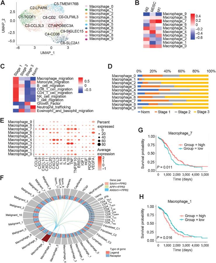 https://cdn.ncbi.nlm.nih.gov/pmc/blobs/e240/9662915/cd34961d3321/3590fig4.jpg