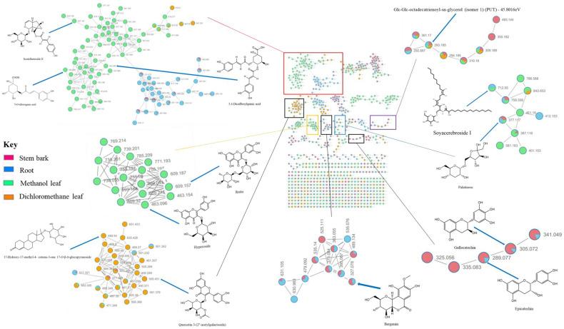 https://cdn.ncbi.nlm.nih.gov/pmc/blobs/e241/11206052/6f8cf3fcc10b/metabolites-14-00291-g002.jpg