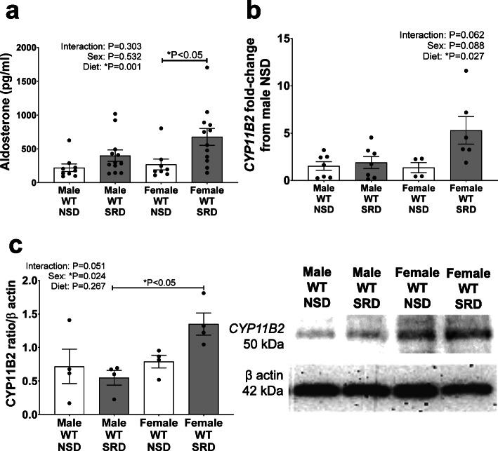 https://cdn.ncbi.nlm.nih.gov/pmc/blobs/e241/7685592/0cc9b988ba20/13293_2020_340_Fig1_HTML.jpg