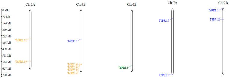 https://cdn.ncbi.nlm.nih.gov/pmc/blobs/e243/10223549/f982e4488f14/plants-12-01998-g002.jpg