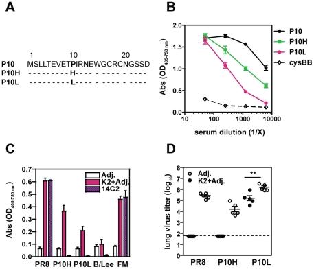 https://cdn.ncbi.nlm.nih.gov/pmc/blobs/e243/3236751/b24524508864/pone.0028445.g004.jpg