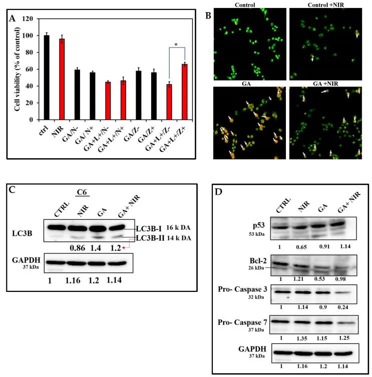 https://cdn.ncbi.nlm.nih.gov/pmc/blobs/e243/9504705/fda63aba9346/pharmaceutics-14-01939-g008.jpg