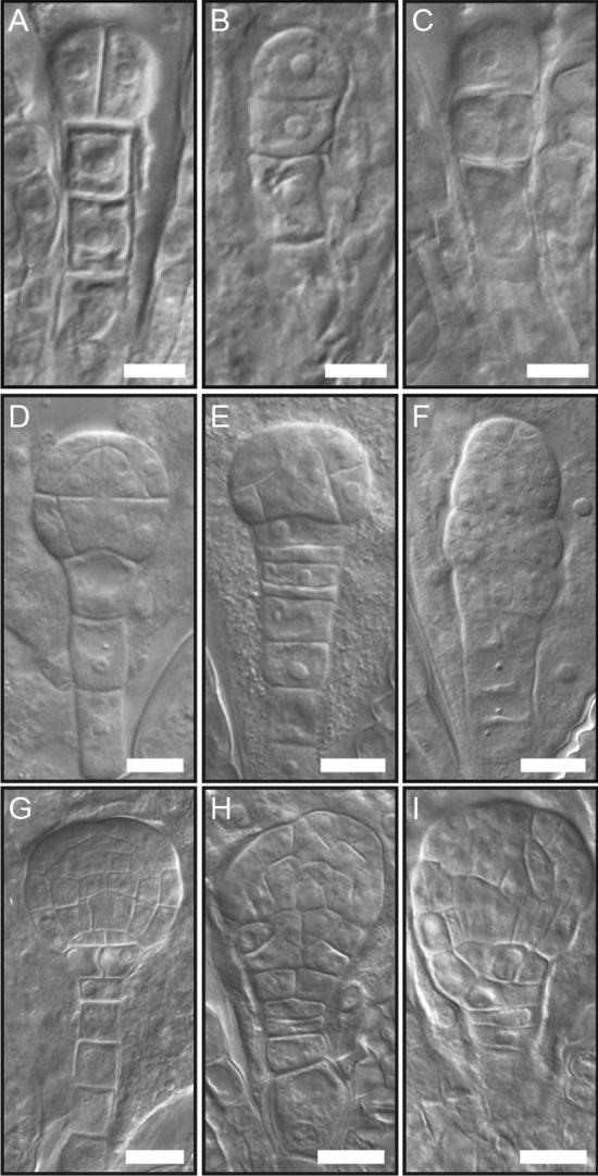 https://cdn.ncbi.nlm.nih.gov/pmc/blobs/e244/7415139/8387ab36faff/41598_2020_70324_Fig3_HTML.jpg