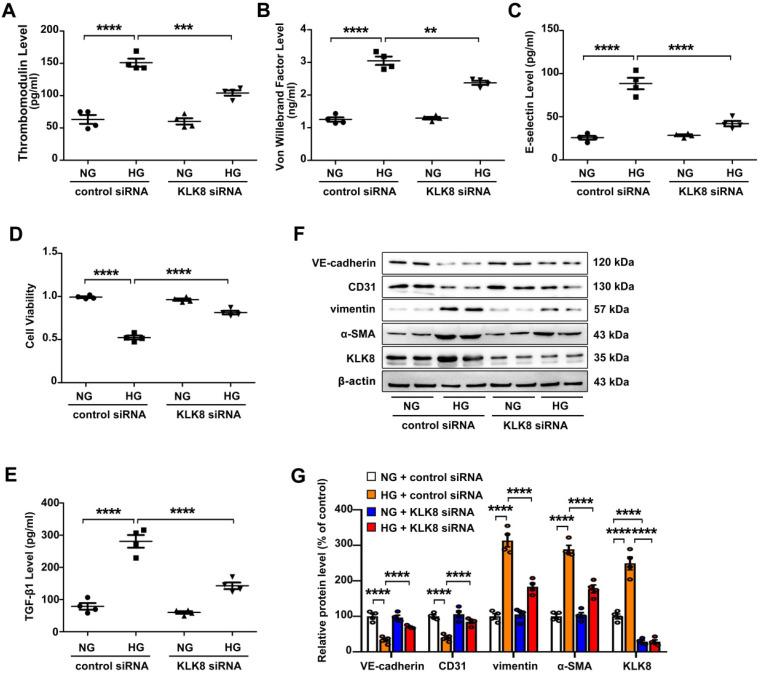 https://cdn.ncbi.nlm.nih.gov/pmc/blobs/e246/7977470/71f127ea4e52/thnov11p4207g004.jpg