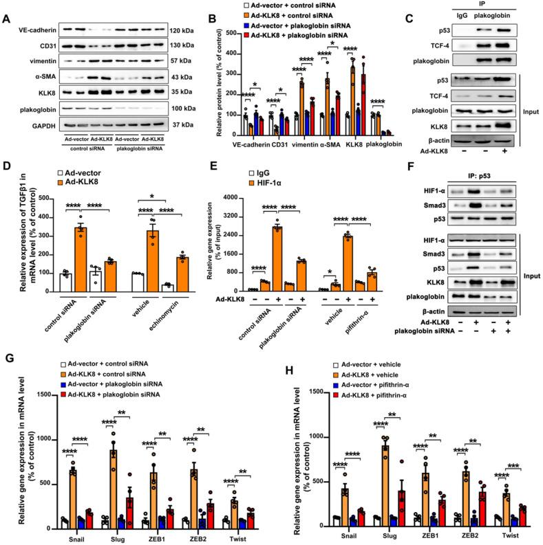 https://cdn.ncbi.nlm.nih.gov/pmc/blobs/e246/7977470/84bfe95ce7d9/thnov11p4207g010.jpg