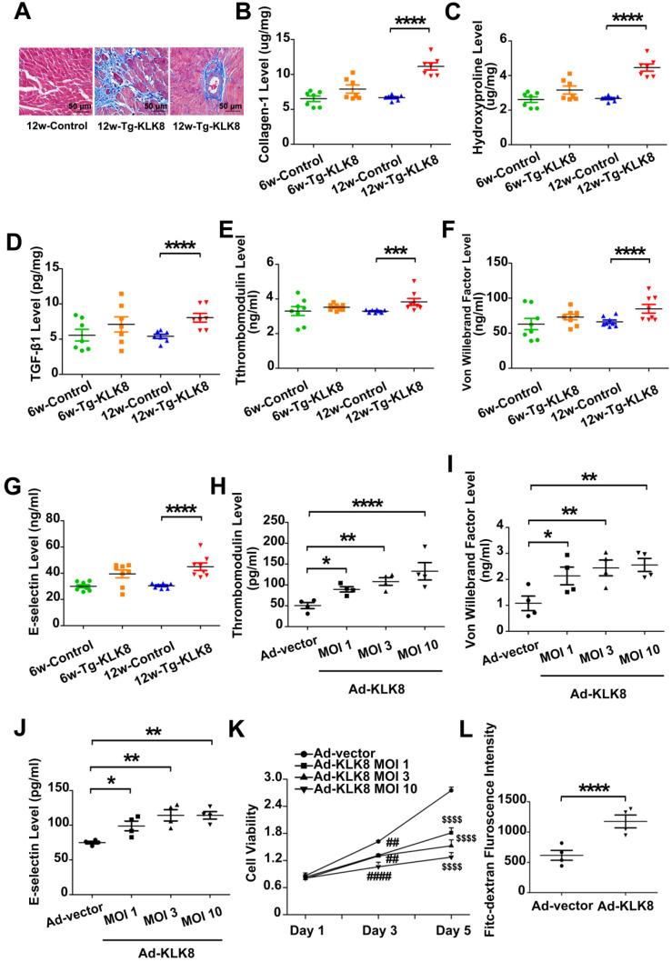 https://cdn.ncbi.nlm.nih.gov/pmc/blobs/e246/7977470/a9de141a63e5/thnov11p4207g006.jpg