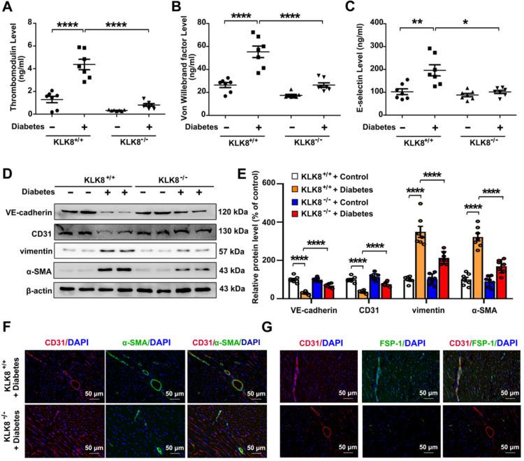 https://cdn.ncbi.nlm.nih.gov/pmc/blobs/e246/7977470/ca3555afc861/thnov11p4207g005.jpg