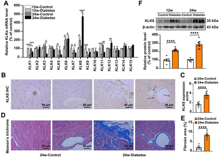 https://cdn.ncbi.nlm.nih.gov/pmc/blobs/e246/7977470/e26eaad50f5c/thnov11p4207g001.jpg