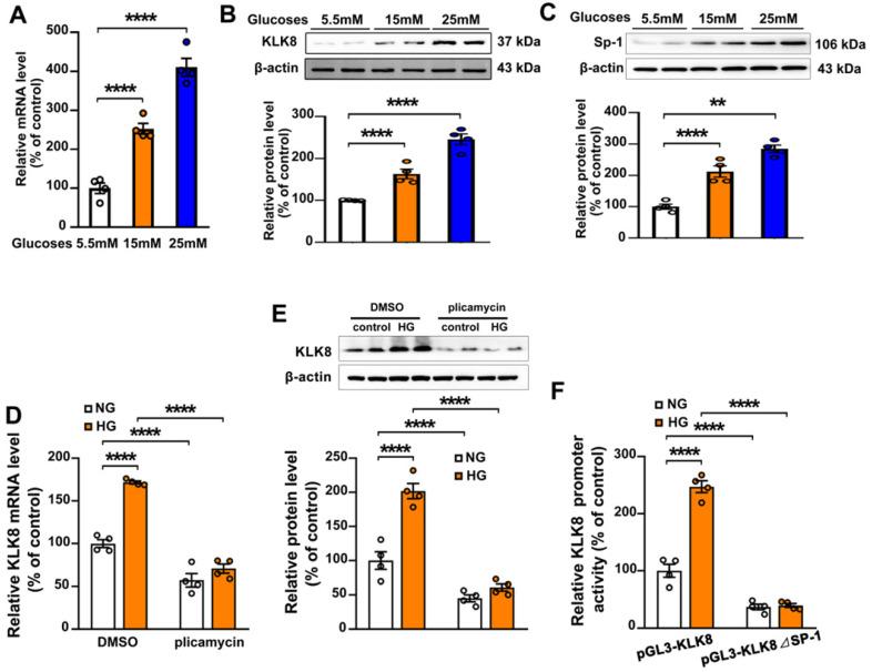 https://cdn.ncbi.nlm.nih.gov/pmc/blobs/e246/7977470/f62f90c8fa01/thnov11p4207g008.jpg