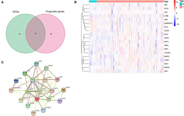 https://cdn.ncbi.nlm.nih.gov/pmc/blobs/e246/8520927/0a3704637b4e/fmed-08-693959-g0003.jpg