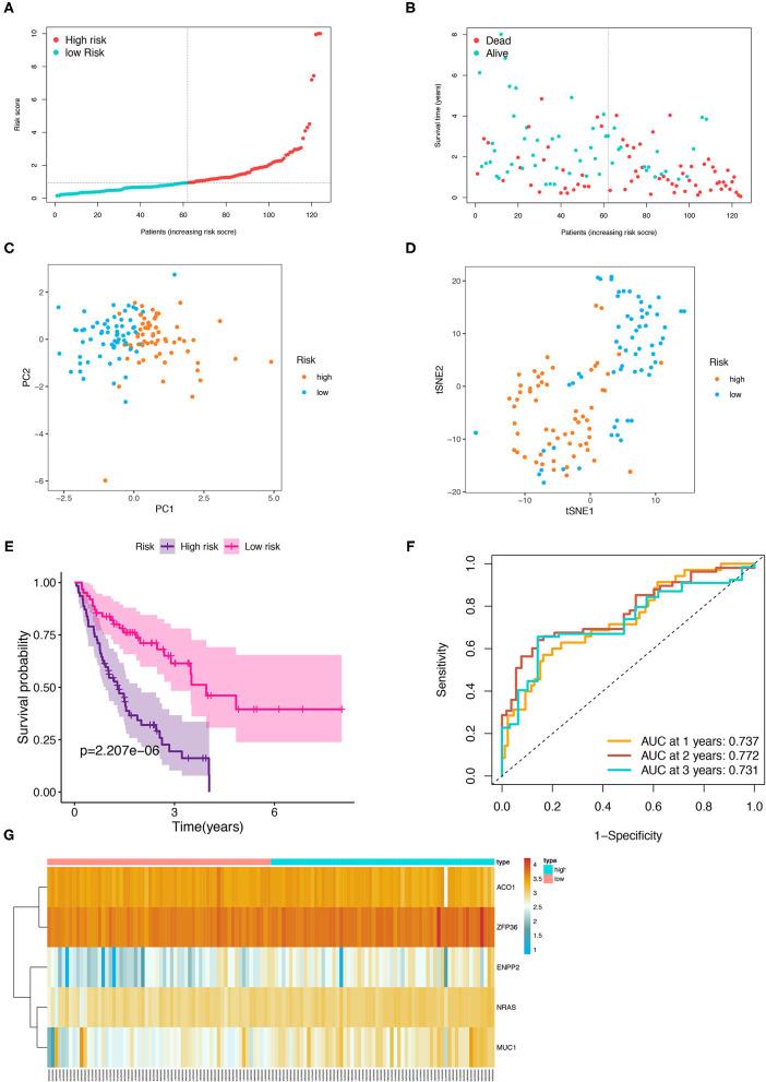 https://cdn.ncbi.nlm.nih.gov/pmc/blobs/e246/8520927/641b7b70d5b6/fmed-08-693959-g0005.jpg