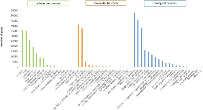 https://cdn.ncbi.nlm.nih.gov/pmc/blobs/e247/8877398/18c3b205cb88/peerj-10-12940-g002.jpg