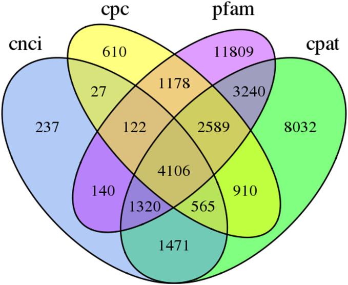https://cdn.ncbi.nlm.nih.gov/pmc/blobs/e247/8877398/2745cf636e0e/peerj-10-12940-g003.jpg