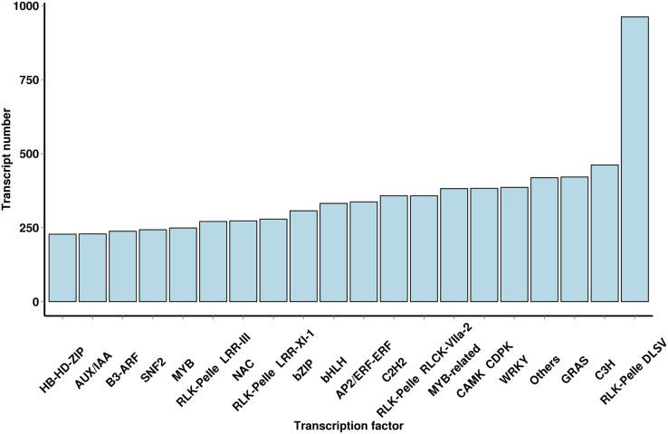 https://cdn.ncbi.nlm.nih.gov/pmc/blobs/e247/8877398/36ba73013ca4/peerj-10-12940-g004.jpg