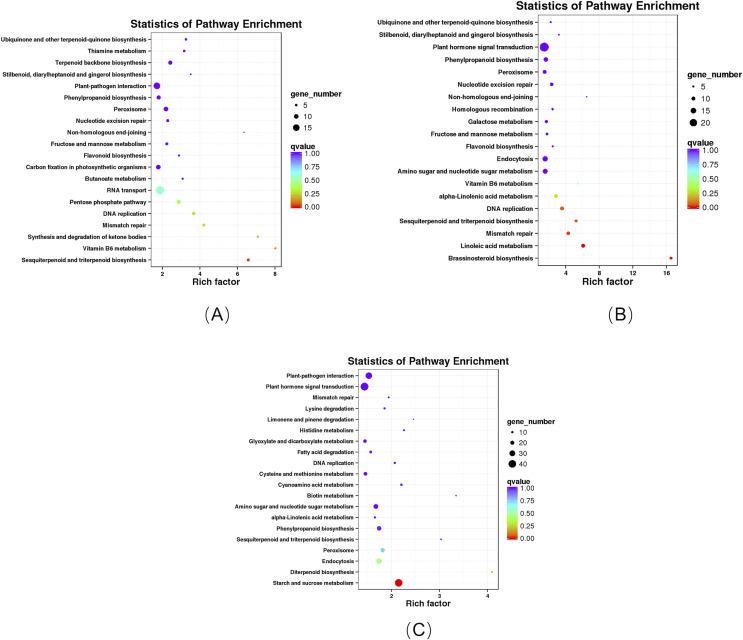 https://cdn.ncbi.nlm.nih.gov/pmc/blobs/e247/8877398/6bb4b73f9e21/peerj-10-12940-g006.jpg