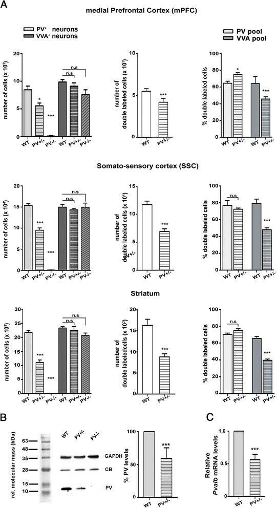 https://cdn.ncbi.nlm.nih.gov/pmc/blobs/e24b/4729132/284794fda9ca/13041_2016_192_Fig3_HTML.jpg