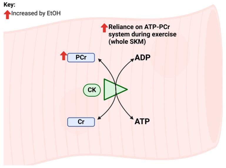 https://cdn.ncbi.nlm.nih.gov/pmc/blobs/e24d/11594450/ef5caebd7a0d/ijms-25-12280-g002.jpg