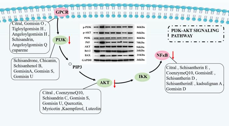 https://cdn.ncbi.nlm.nih.gov/pmc/blobs/e24e/10065024/a84c8baac108/DDDT-17-939-g0010.jpg