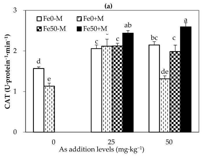 https://cdn.ncbi.nlm.nih.gov/pmc/blobs/e24e/10301997/84c4e94639c8/jof-09-00677-g006a.jpg