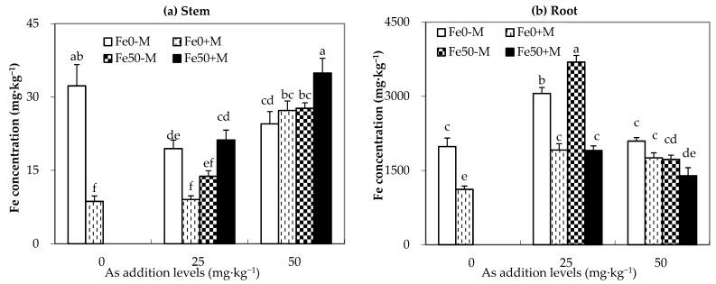 https://cdn.ncbi.nlm.nih.gov/pmc/blobs/e24e/10301997/ea5f556f7c87/jof-09-00677-g003.jpg