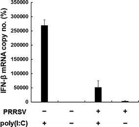 https://cdn.ncbi.nlm.nih.gov/pmc/blobs/e24e/7086947/63e84887f281/705_2011_1116_Fig1_HTML.jpg