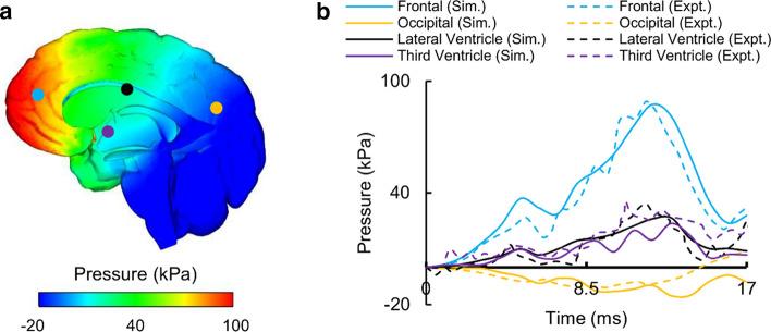 https://cdn.ncbi.nlm.nih.gov/pmc/blobs/e24f/7809851/9b0efca6adb3/12938_2021_847_Fig5_HTML.jpg